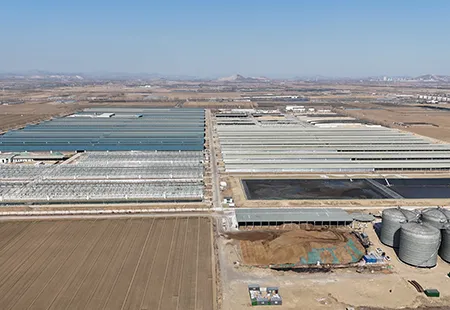 25,000-head super-large-scale ranch manure treatment project