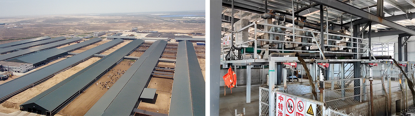 Large-scale dairy farm manure treatment and resource utilization project