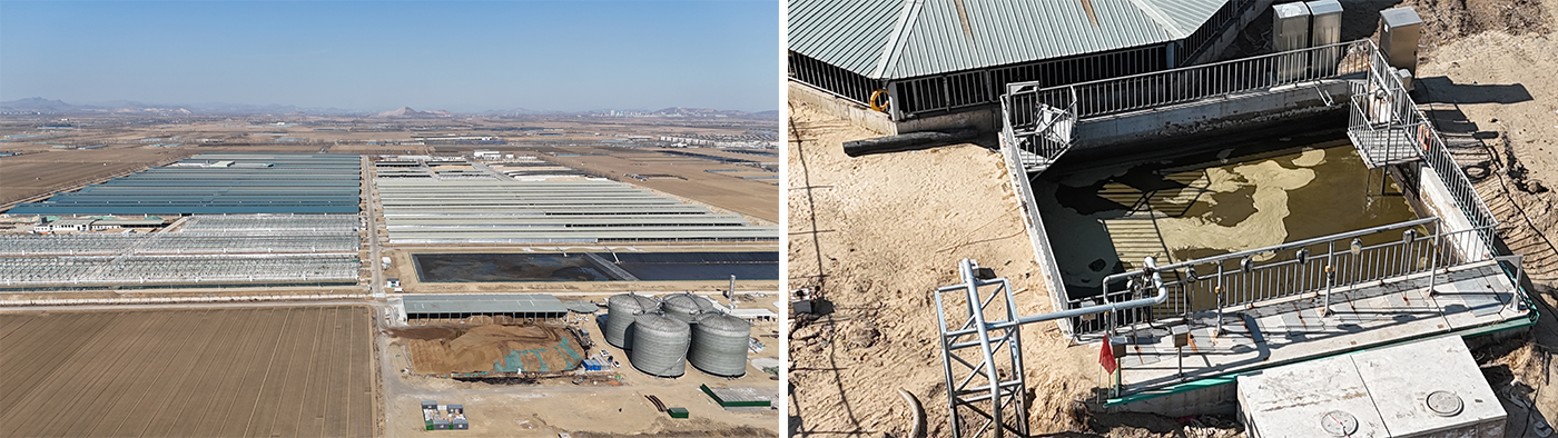 25,000-head super-large-scale ranch manure treatment project